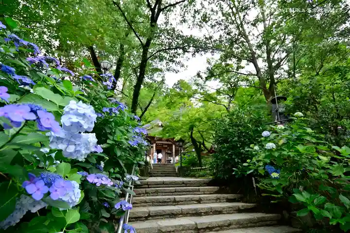 高幡不動尊 金剛寺のその他建物