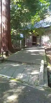 若狭彦神社（上社）の本殿・本堂