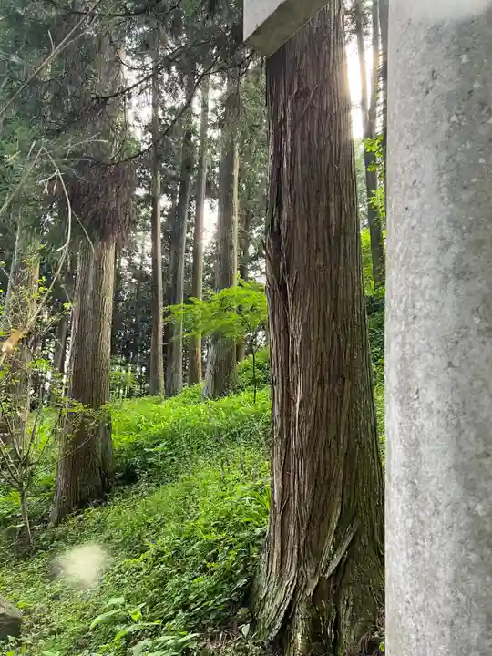 大宮温泉神社(栃木県)