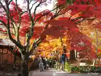 永源寺(滋賀県)