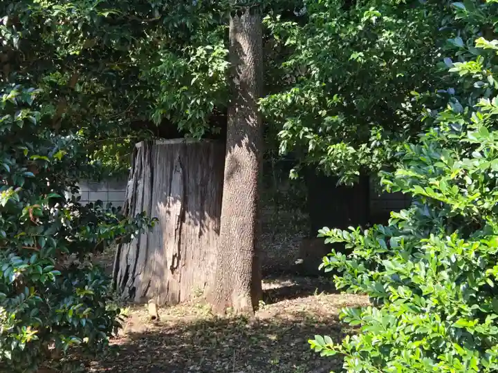 諏訪神社(東京都)