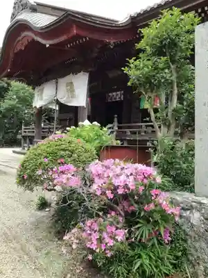 椎尾山薬王院の本殿・本堂