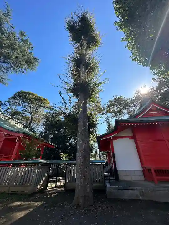 小野神社(東京都)
