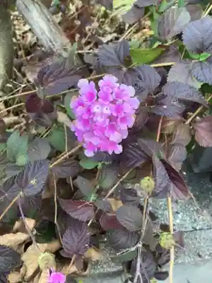 水薬師寺の周辺