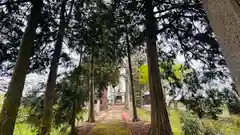 伊智神社(兵庫県)