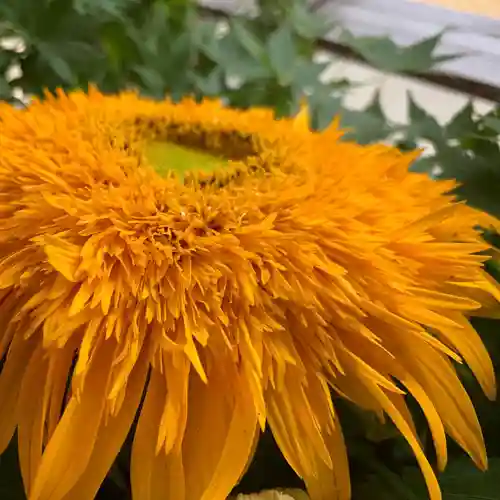 滑川神社 - 仕事と子どもの守り神の手水舎