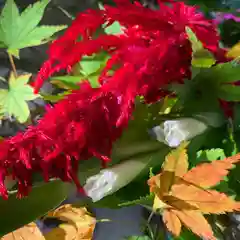 滑川神社 - 仕事と子どもの守り神の手水