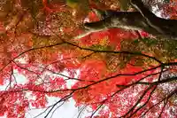 神炊館神社 ⁂奥州須賀川総鎮守⁂の自然