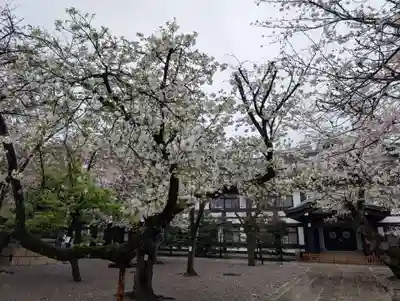 靖國神社(東京都)