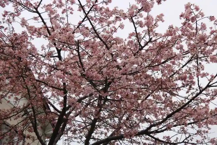 かっぱの寺 栖足寺の自然