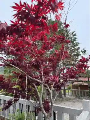 賀茂那備神社(島根県)
