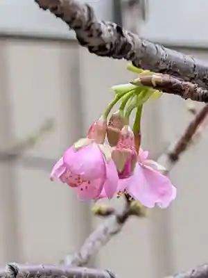 十番稲荷神社(東京都)