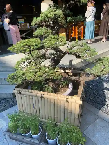 東京大神宮の庭園