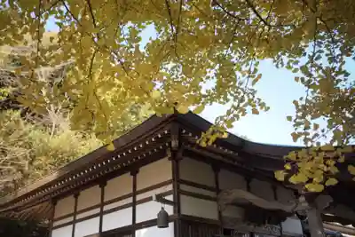 諏訪神社の本殿・本堂