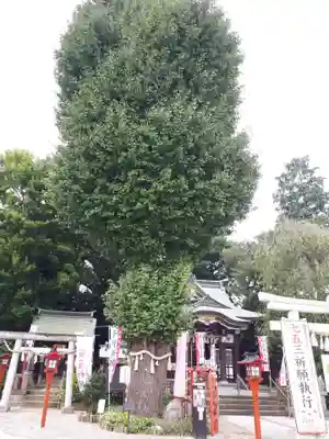 川越八幡宮の末社・摂社