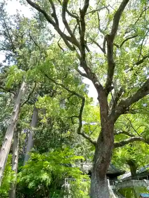 事任八幡宮(静岡県)