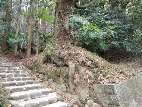 貴船神社(大神神社末社)の{uncategorized: "未分類", other: "その他", undefined: "問題あり", building: "その他建物", grave: "お墓", sacred_gate: "鳥居", guardian: "狛犬", statue: "像", buddha: "仏像", history: "歴史", nature: "自然", garden: "庭園", animal: "動物", pagoda: "塔", temizu: "手水舎", mountain_gate: "山門・神門", sanctuary: "本殿・本堂", subordinate: "末社・摂社", art: "芸術", scenery: "景色", jizo: "地蔵", ema: "絵馬", goshuin: "御朱印", omikuji: "おみくじ", items: "授与品その他", amulet: "お守り", goshuincho: "御朱印帳", eats: "食事", festival: "お祭り", votive_dance: "神楽", shichigosan: "七五三参", wedding: "結婚式", experience: "体験その他", initially: "初詣", around: "周辺", anti_infection: "感染症対策"}