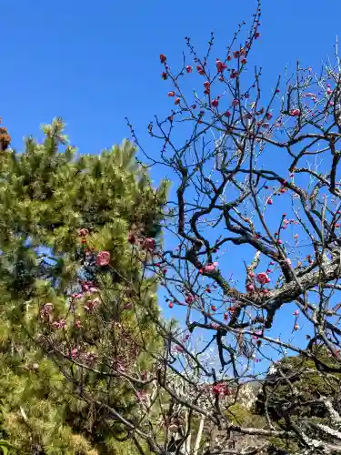 円覚寺の{uncategorized: "未分類", other: "その他", undefined: "問題あり", building: "その他建物", grave: "お墓", sacred_gate: "鳥居", guardian: "狛犬", statue: "像", buddha: "仏像", history: "歴史", nature: "自然", garden: "庭園", animal: "動物", pagoda: "塔", temizu: "手水舎", mountain_gate: "山門・神門", sanctuary: "本殿・本堂", subordinate: "末社・摂社", art: "芸術", scenery: "景色", jizo: "地蔵", ema: "絵馬", goshuin: "御朱印", omikuji: "おみくじ", items: "授与品その他", amulet: "お守り", goshuincho: "御朱印帳", eats: "食事", festival: "お祭り", votive_dance: "神楽", shichigosan: "七五三参", wedding: "結婚式", experience: "体験その他", initially: "初詣", around: "周辺", anti_infection: "感染症対策"}