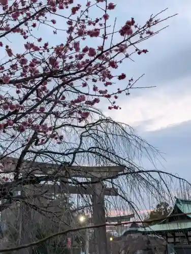 豊國神社の{uncategorized: "未分類", other: "その他", undefined: "問題あり", building: "その他建物", grave: "お墓", sacred_gate: "鳥居", guardian: "狛犬", statue: "像", buddha: "仏像", history: "歴史", nature: "自然", garden: "庭園", animal: "動物", pagoda: "塔", temizu: "手水舎", mountain_gate: "山門・神門", sanctuary: "本殿・本堂", subordinate: "末社・摂社", art: "芸術", scenery: "景色", jizo: "地蔵", ema: "絵馬", goshuin: "御朱印", omikuji: "おみくじ", items: "授与品その他", amulet: "お守り", goshuincho: "御朱印帳", eats: "食事", festival: "お祭り", votive_dance: "神楽", shichigosan: "七五三参", wedding: "結婚式", experience: "体験その他", initially: "初詣", around: "周辺", anti_infection: "感染症対策"}