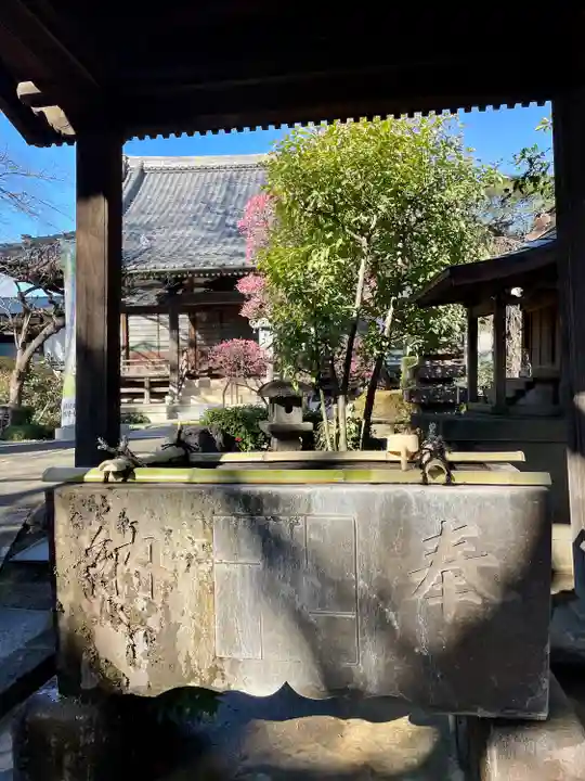 無量寺(東京都)