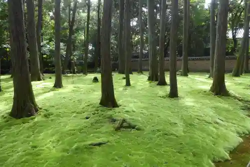 唐招提寺(奈良県)