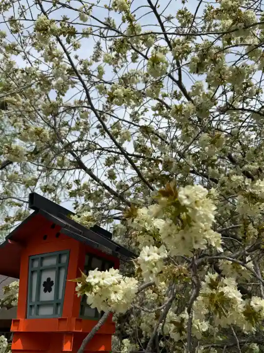 平野神社の{uncategorized: "未分類", other: "その他", undefined: "問題あり", building: "その他建物", grave: "お墓", sacred_gate: "鳥居", guardian: "狛犬", statue: "像", buddha: "仏像", history: "歴史", nature: "自然", garden: "庭園", animal: "動物", pagoda: "塔", temizu: "手水舎", mountain_gate: "山門・神門", sanctuary: "本殿・本堂", subordinate: "末社・摂社", art: "芸術", scenery: "景色", jizo: "地蔵", ema: "絵馬", goshuin: "御朱印", omikuji: "おみくじ", items: "授与品その他", amulet: "お守り", goshuincho: "御朱印帳", eats: "食事", festival: "お祭り", votive_dance: "神楽", shichigosan: "七五三参", wedding: "結婚式", experience: "体験その他", initially: "初詣", around: "周辺", anti_infection: "感染症対策"}