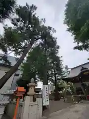 草加神社の建物その他