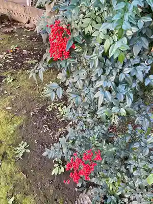 八坂神社(千葉県)