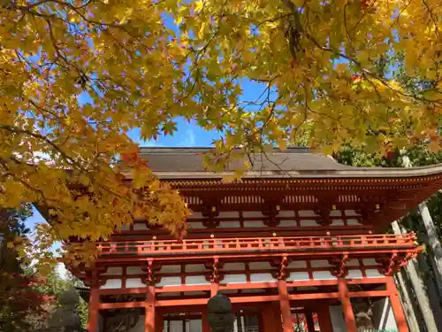 高野山金剛峯寺奥の院の山門