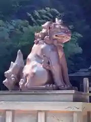 美保神社の狛犬