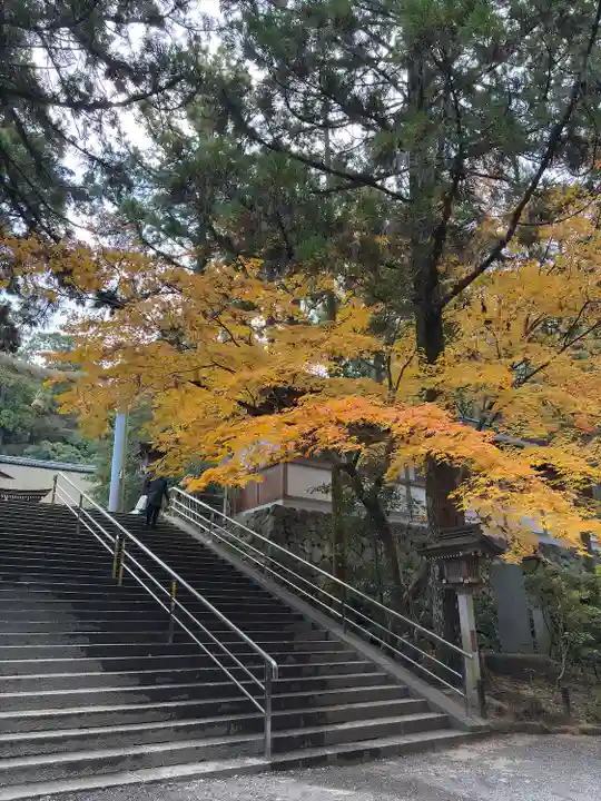 大神神社(奈良県)