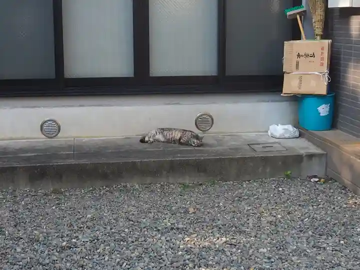 女塚神社の動物
