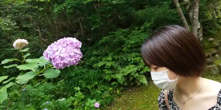 清水寺(京都府)