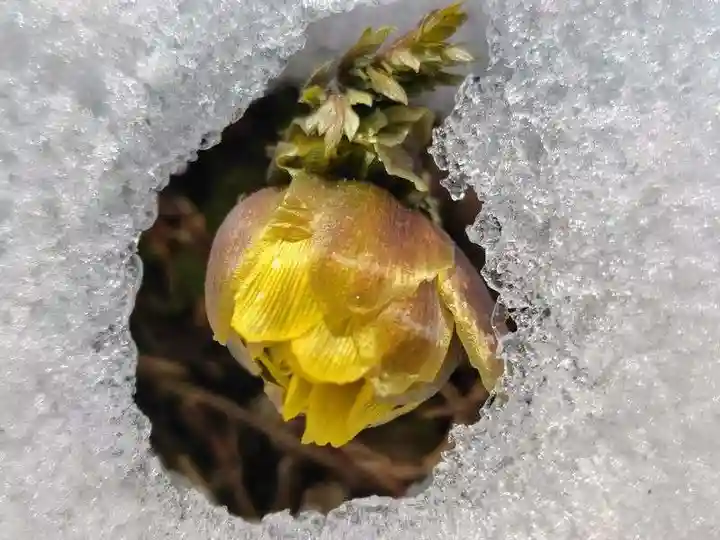 関場神社(福島県)