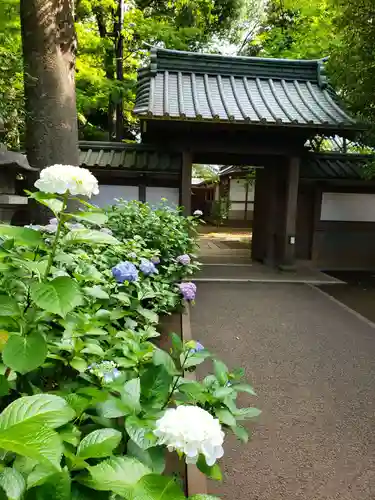 妙法寺の山門