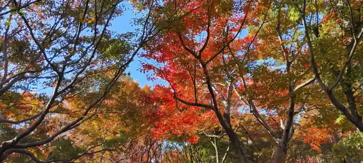 東福禅寺(東福寺)(京都府)