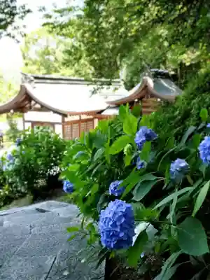 吉備津神社の本殿・本堂