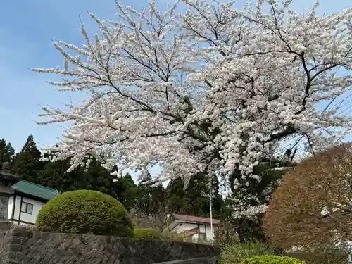 楽水亭　大龍寺(秋田県)