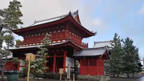 妙心寺（妙心禅寺）の山門