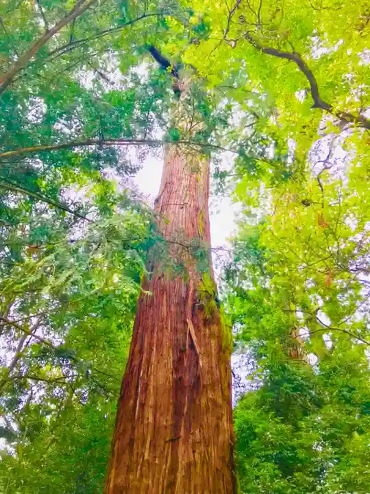 香取神宮(千葉県)