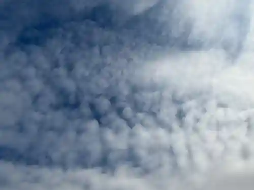 西方山極楽寺(岐阜県)