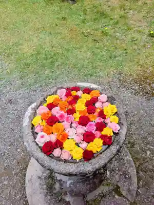丹生都比売神社(和歌山県)