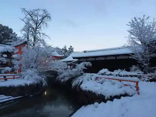 賀茂御祖神社（下鴨神社）の景色