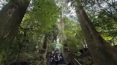 箱根神社(神奈川県)