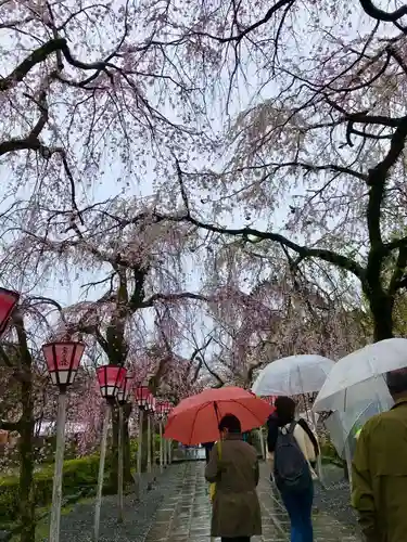 三嶋大社(静岡県)