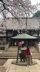 新井薬師（梅照院）(東京都)