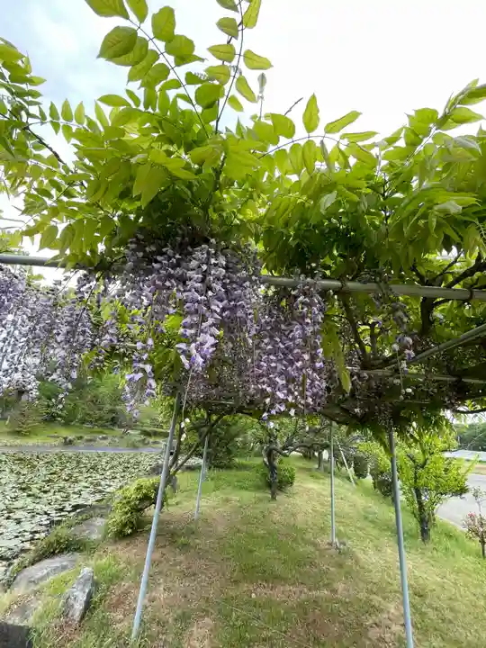 大生郷天満宮の自然