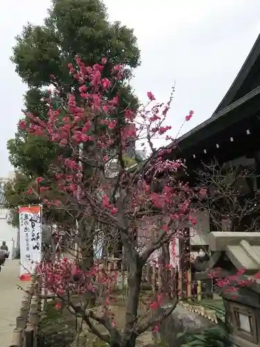 大阪天満宮の庭園