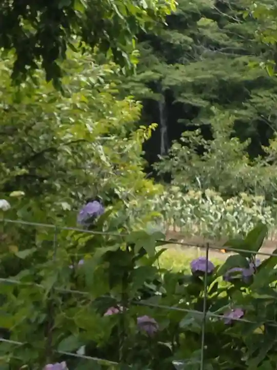 出雲大社信達講社(山舟生出雲大社)(福島県)