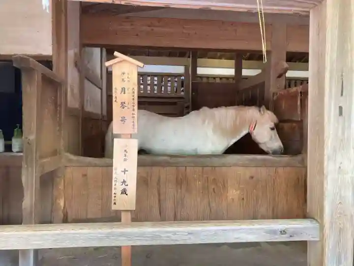 金刀比羅宮(香川県)